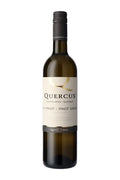 Quercus Pinot Grigio